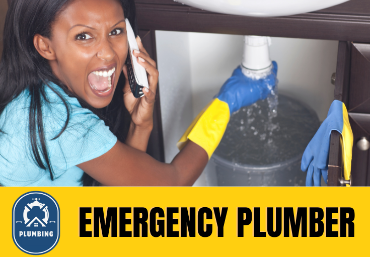 emergency plumber Harrietsham