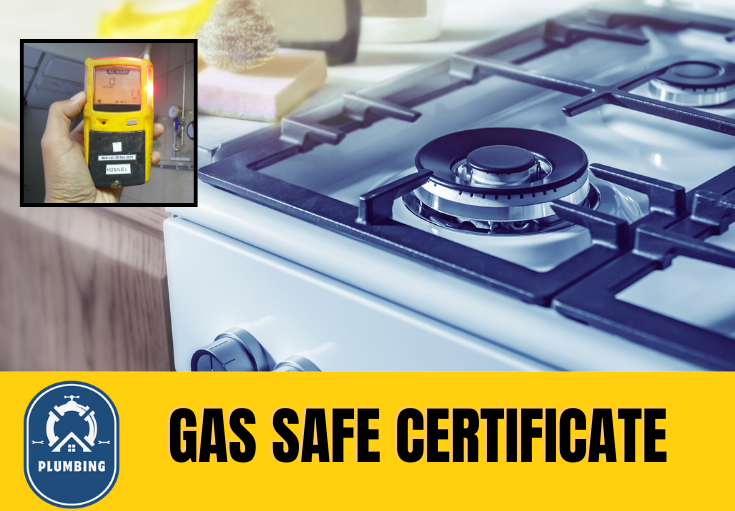 gas safe certificate Harrietsham